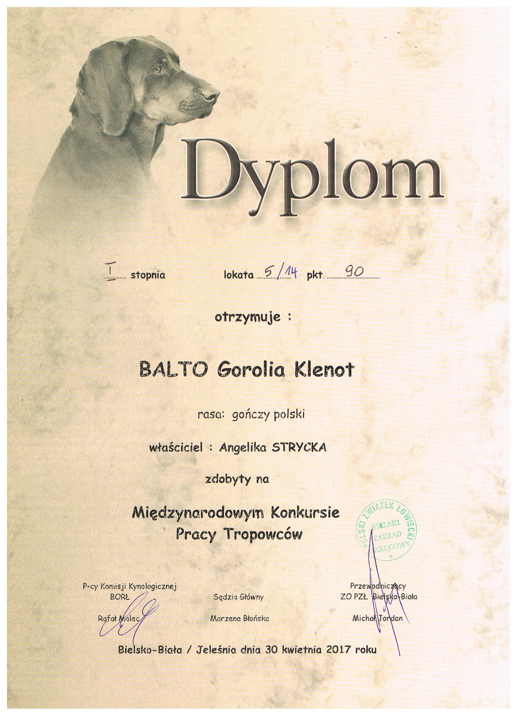 Balto Dyplom Jeleśnia 2017 001