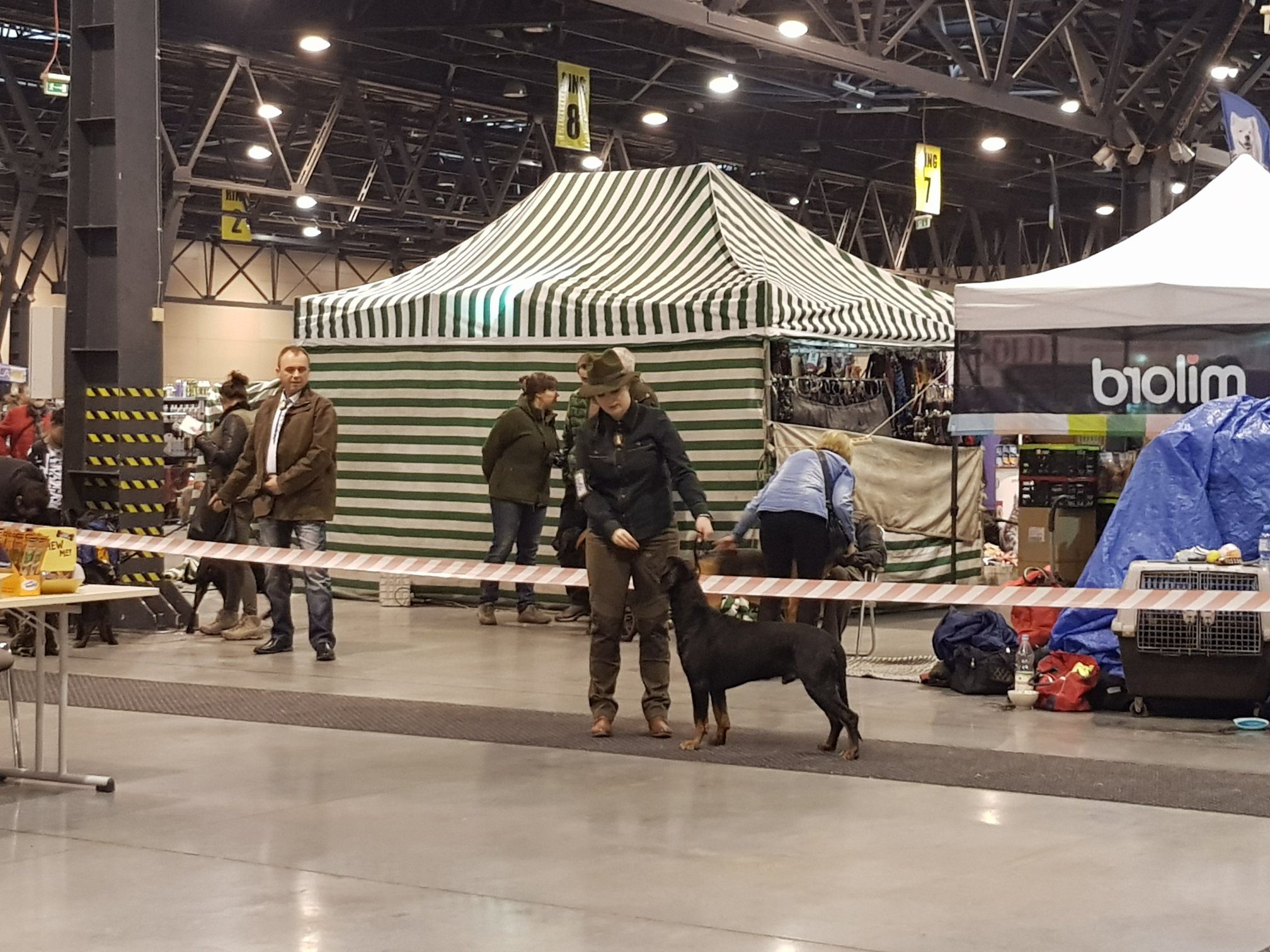 VII Zimowa Wystawa Psów Rasowych ExpoSilesia-DogShow 28.01.2018